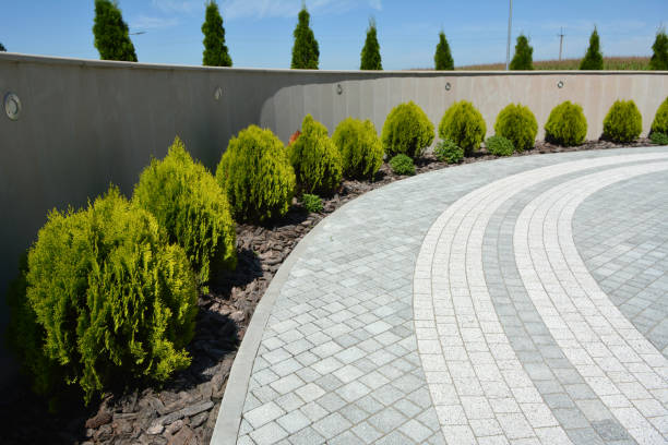Best Local Driveway Pavers  in Norwalk, CT